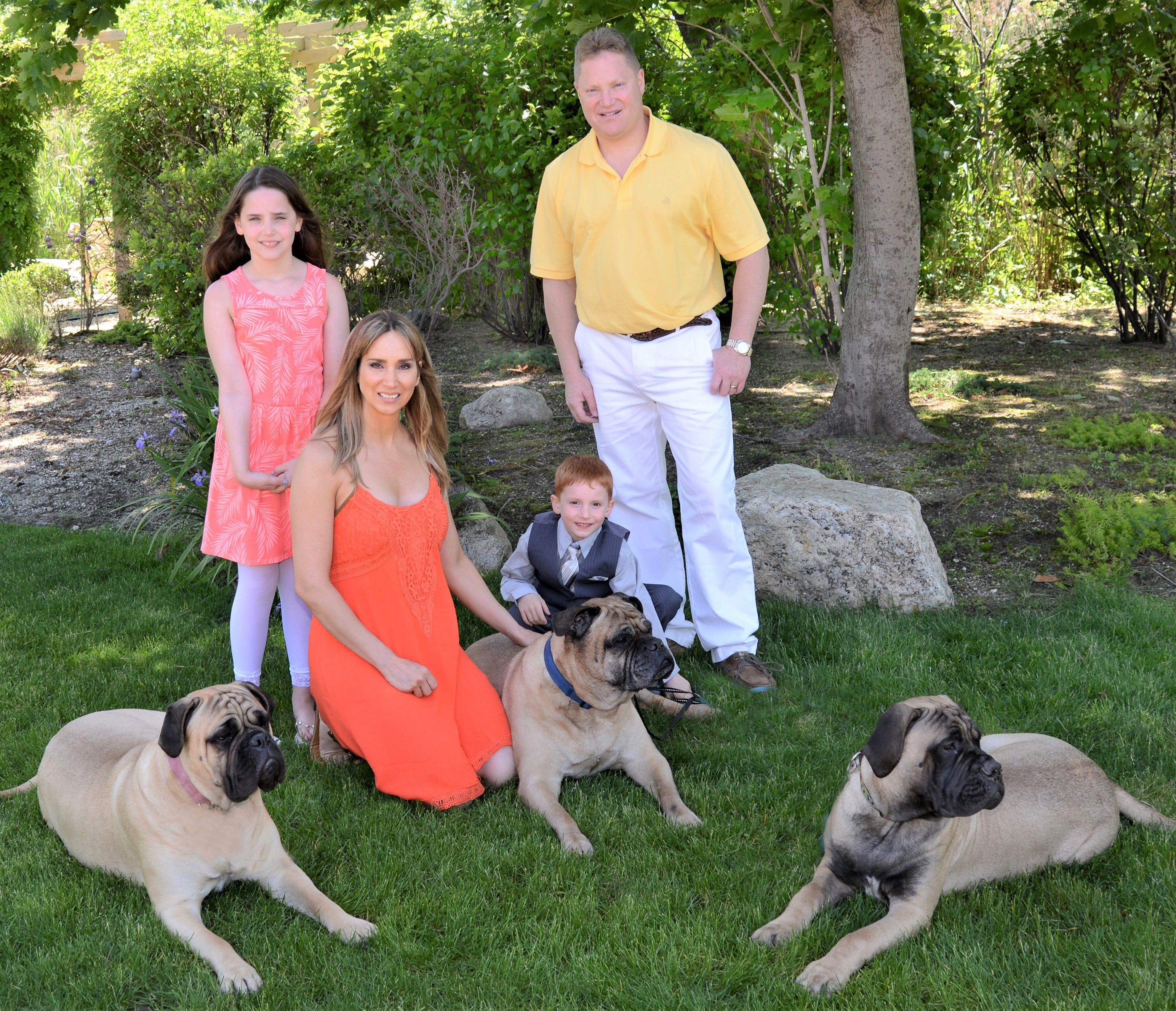Pesit Owner Pets & Owners